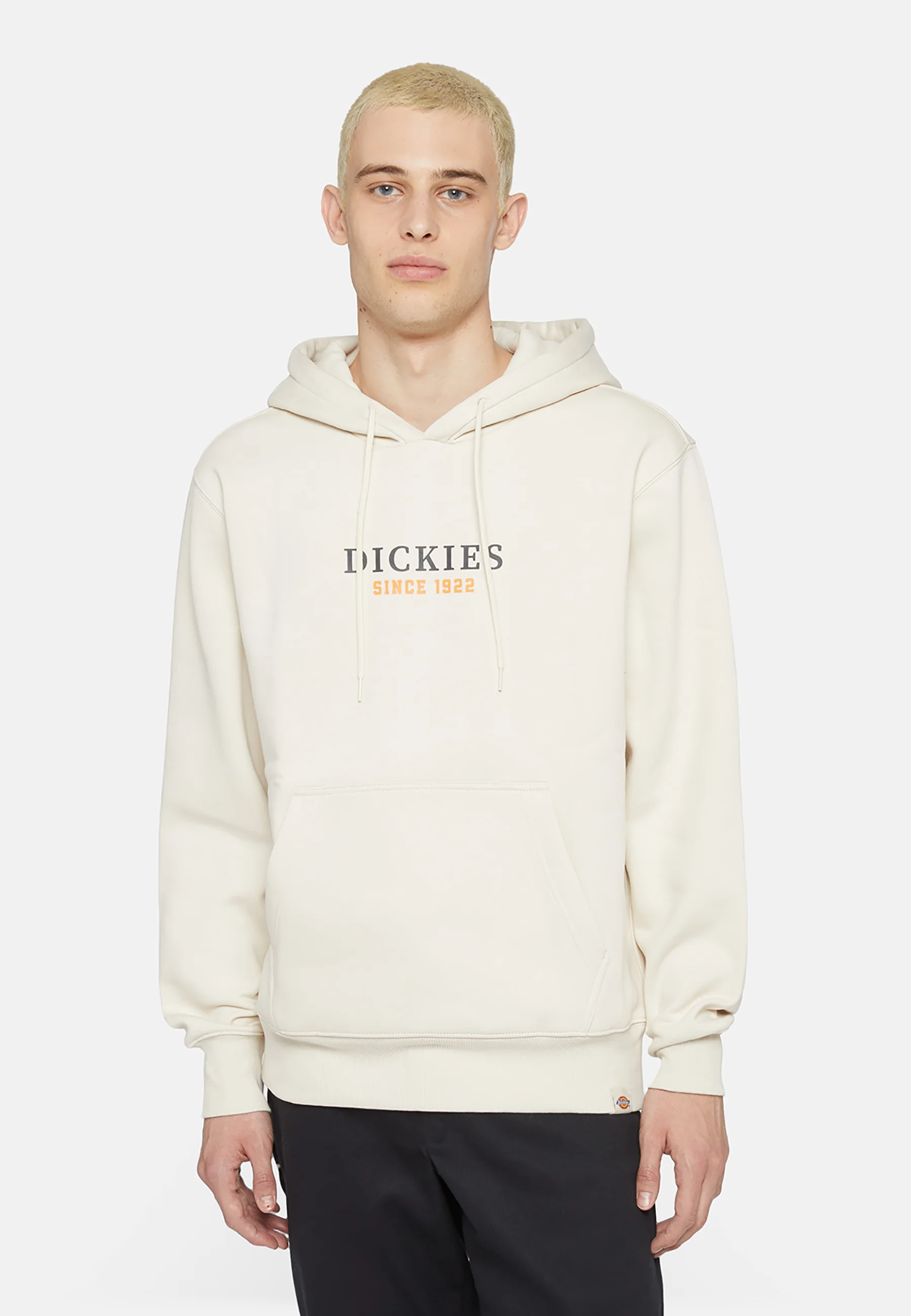Sudadera con capucha Dickies PARK HOODIE