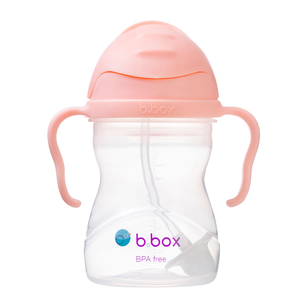 b.box Trinklernflasche mit dynamischen Strohhalm 240 ml – Tutti Frutti Gelato