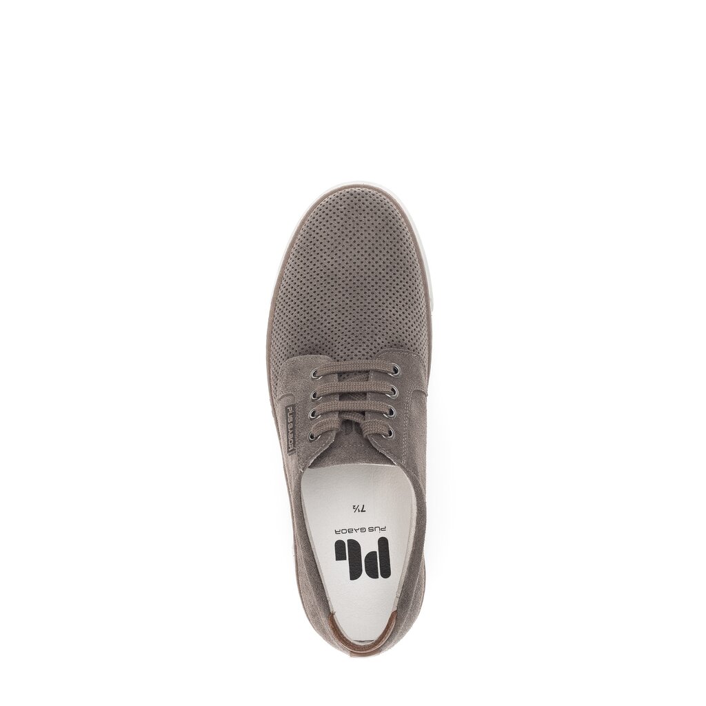 Pius Gabor PG0460 Sneaker low grau