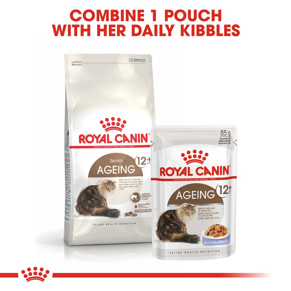 ROYAL CANIN AGEING 12+ Trockenfutter für ältere Katzen
