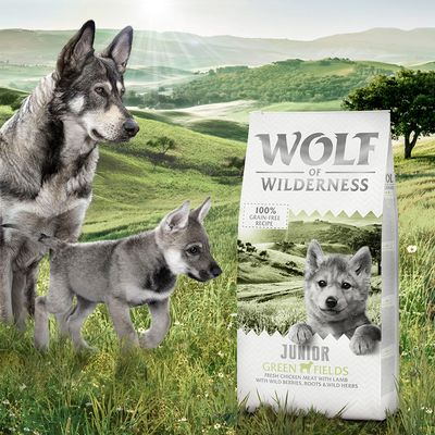 Wolf of Wilderness Junior 
