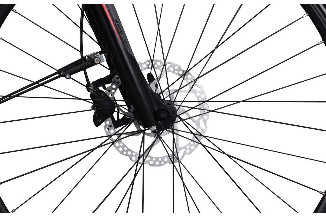 Hercules Futura Sport I-F8 - 500 Wh - Auslaufmodell - 28 Zoll - Damen Sport