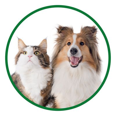 Vet's Best® Fingerzahnbürsten