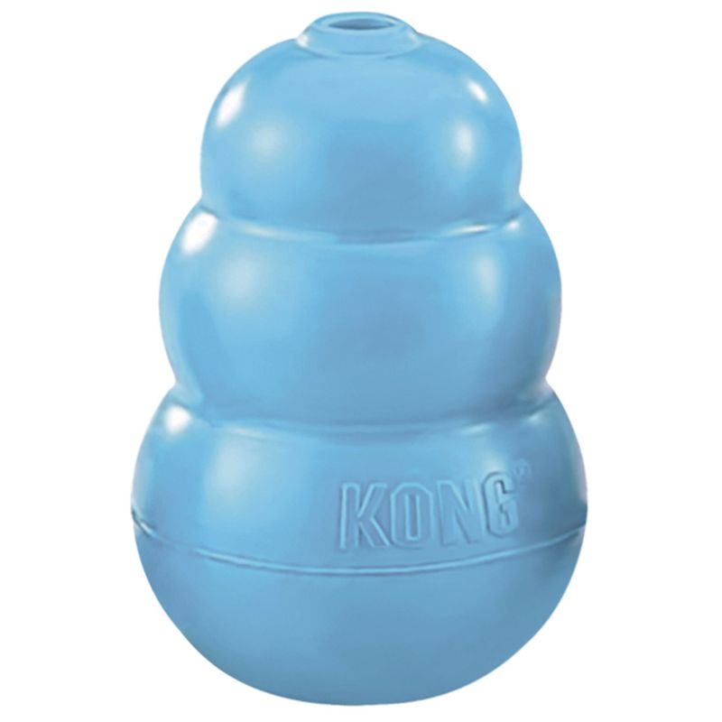 KONG Welpenspielzeug - blau zu TOP-Preisen