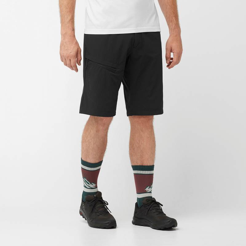 Salomon Wayfarer Funktionsshorts Herren