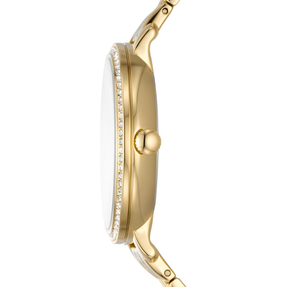 Fossil Montre pour femme Acier inoxydable Montre