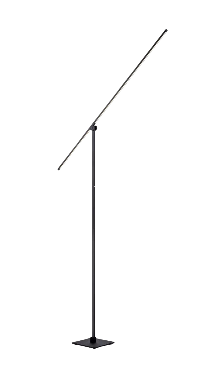 Paul Neuhaus LED Stehleuchte Pure-Grafo L Schwarz