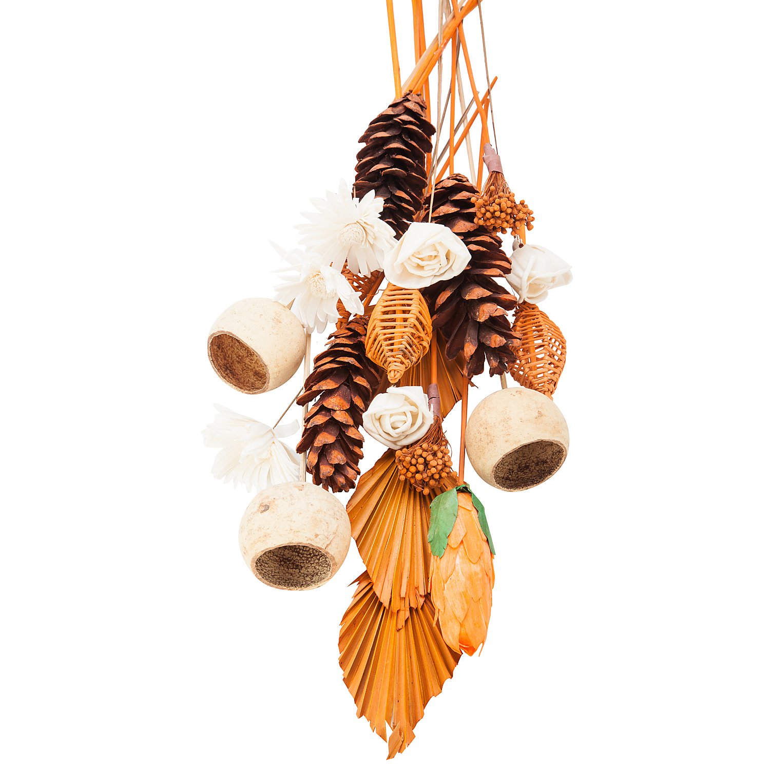 Exoten-Sortiment, orange-natur