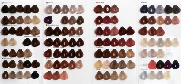 Alfaparf Milano Evolution of the Color Kleine Farbkarte Farbkarte