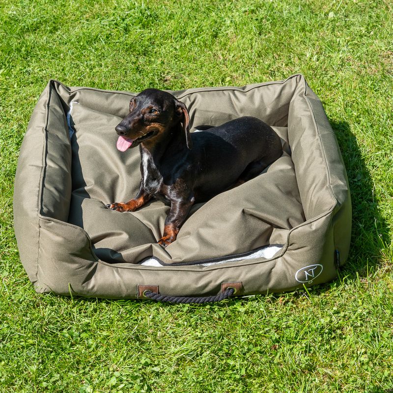 Nomad Tales Spirit Outdoor Hundebett Pine zu TOP-Preisen | bitiba