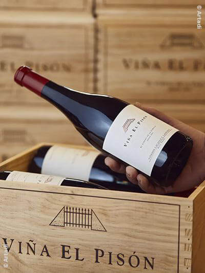 Artadi : Tempranillo Single Vineyard Viña El Pison 2021