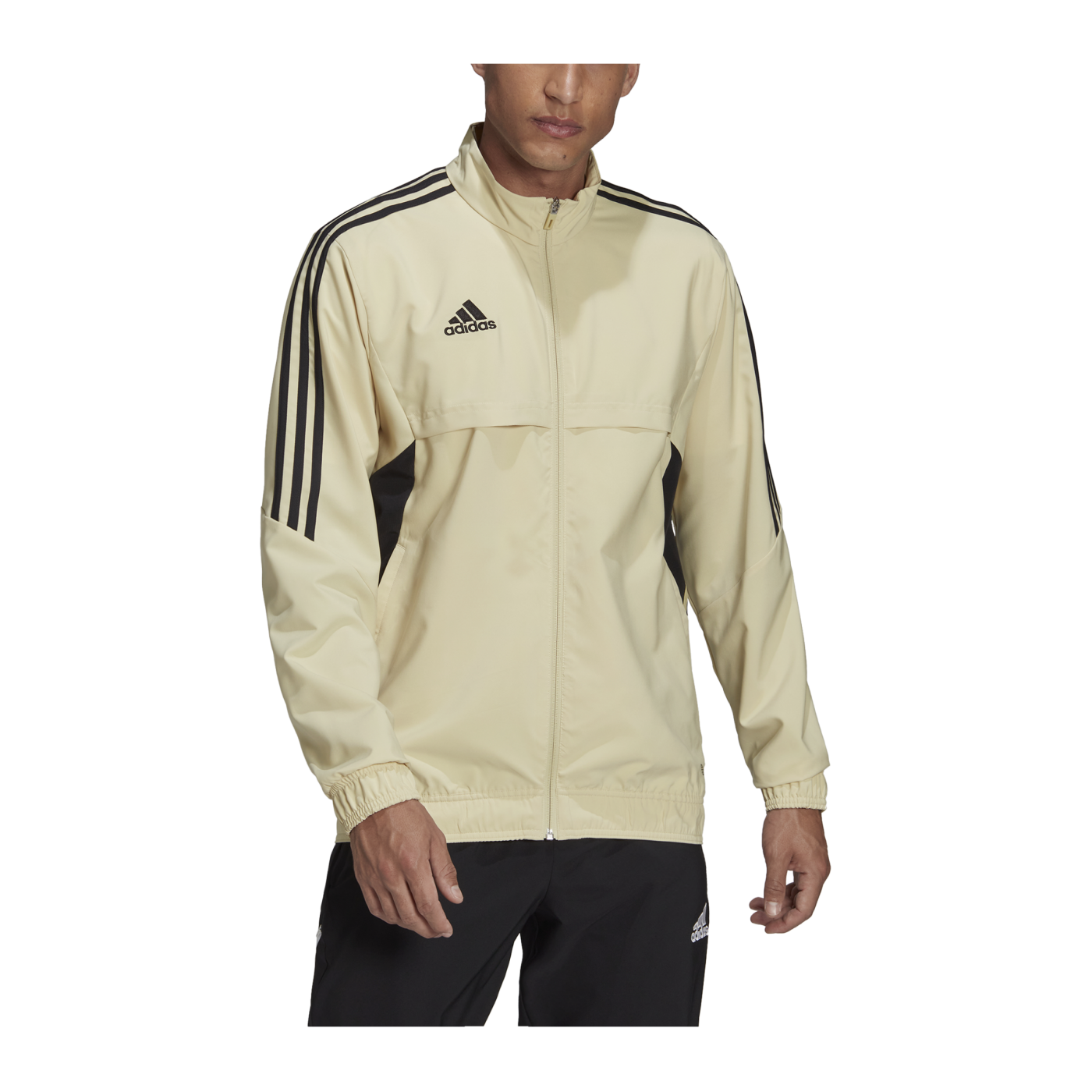 adidas Condivo 22 Präsentationsjacke Braun
