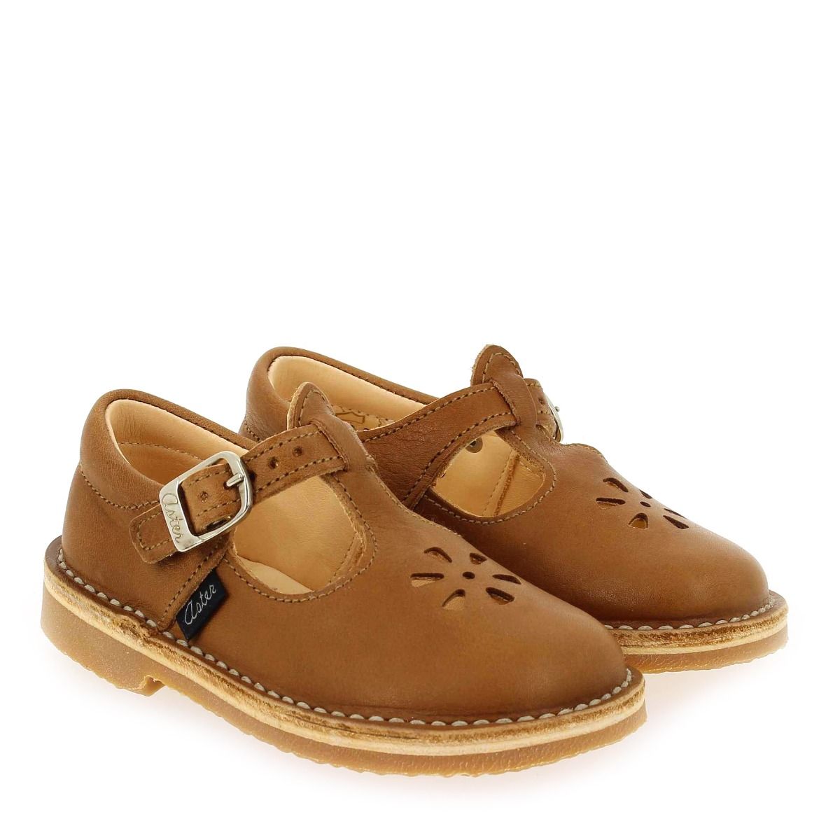 Aster  DINGO 2 - Cognac