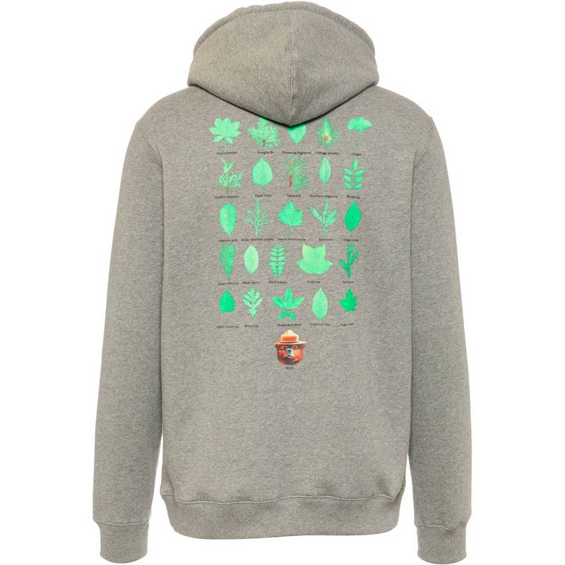 Element SBXE Stately Pleasures Hoodie Herren