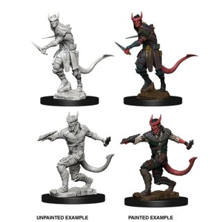 Tiefling Male Rogue: Nolzurs Marvelous Unpainted Minis