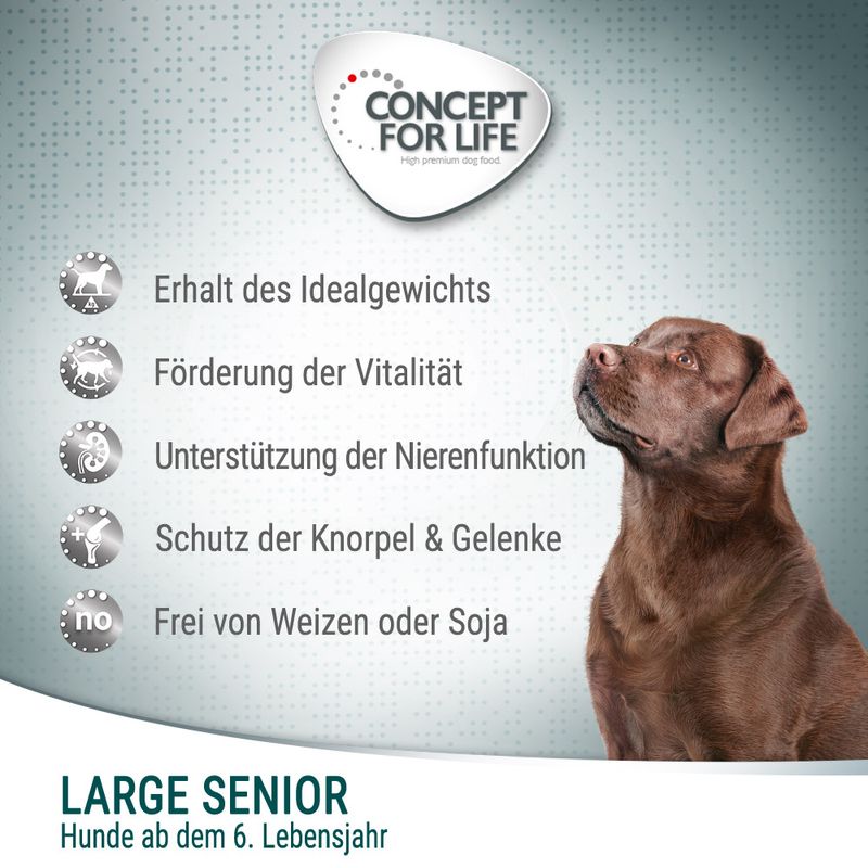 Concept for Life Large Senior