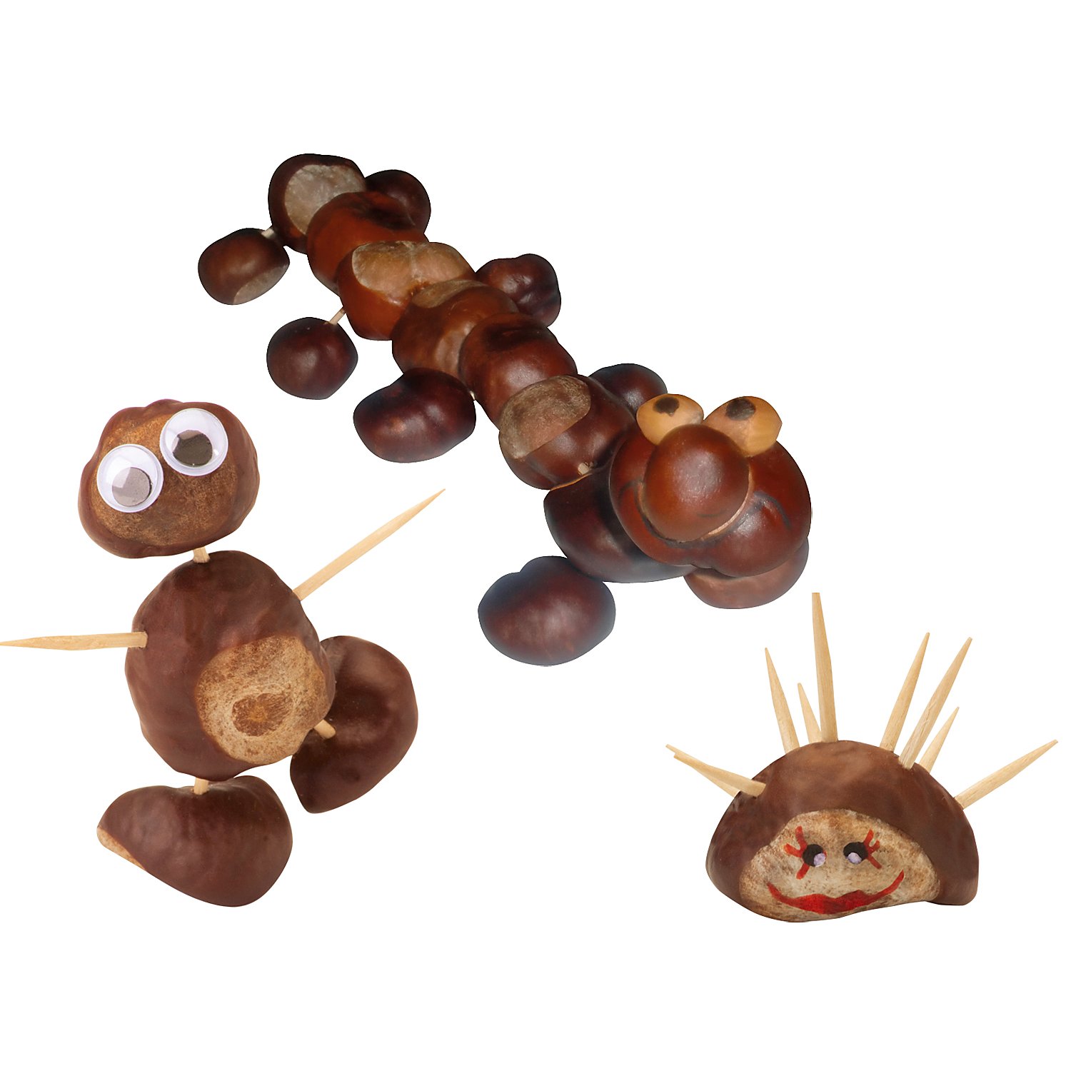 Kastanienbohrer-Set