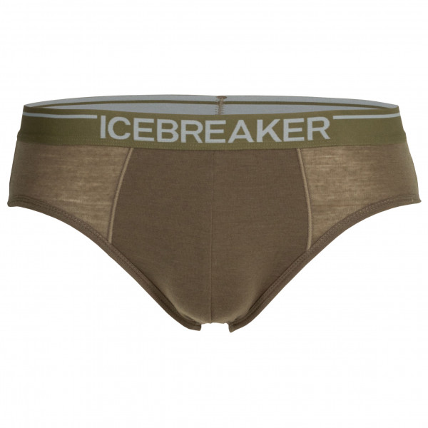 Icebreaker - Anatomica Briefs - Merinounterwäsche