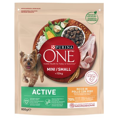 PURINA ONE Mini Active Huhn & Reis