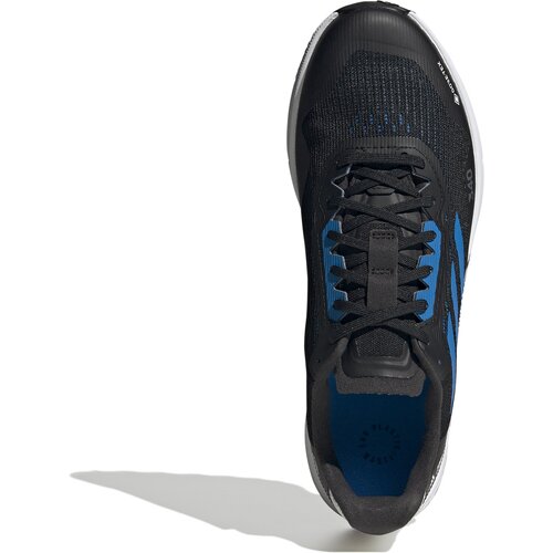HERREN TRAILRUNNINGSCHUHE TERREX AGRAVIC FLOW 2 GTX