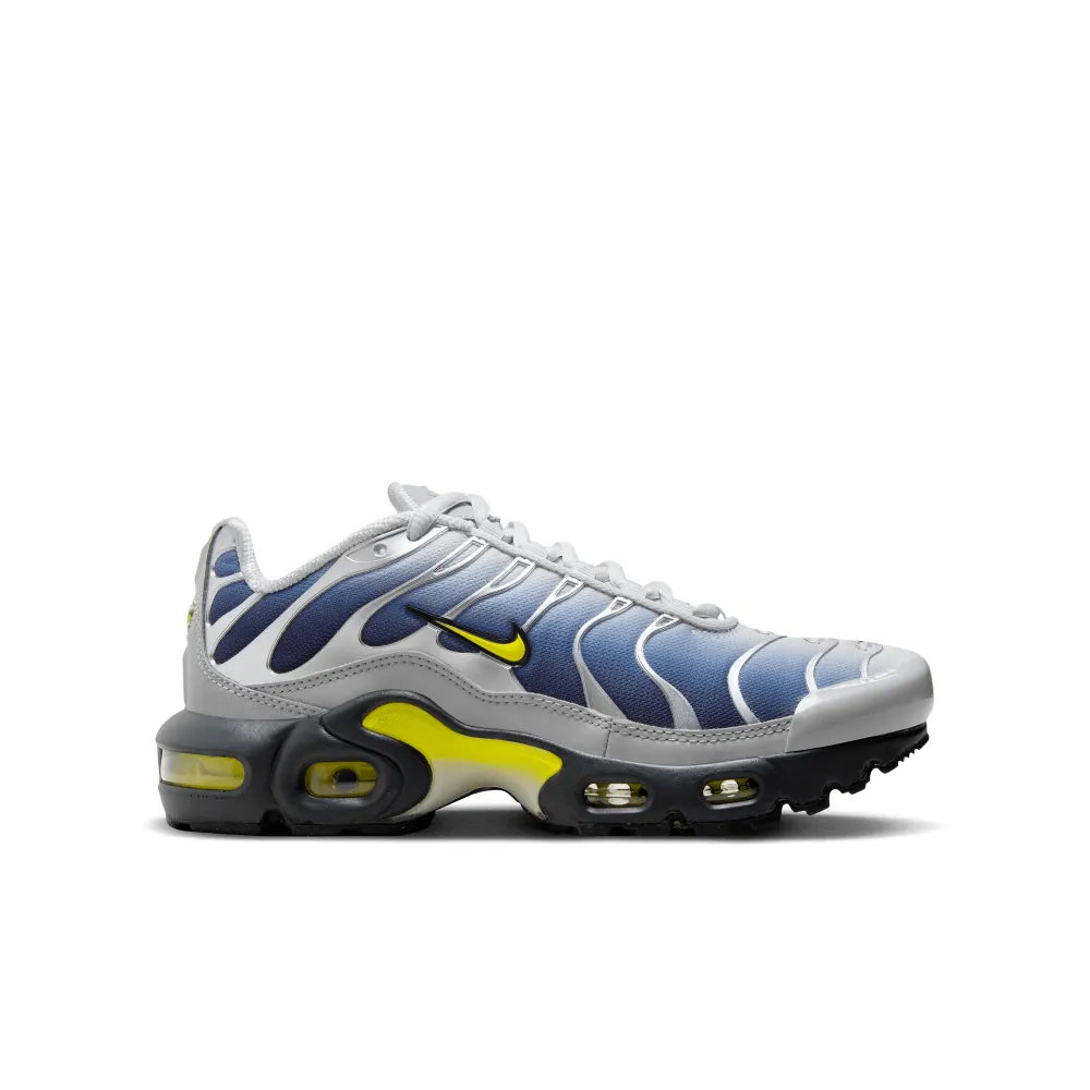 Nike Air Max HF0030-001 / grau