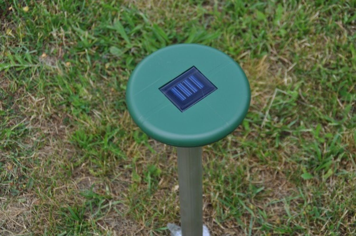 BURI Fliegenklatsche Solar-Mäuse + Maulwurfschreck Mäuseschreck Mäusefalle Maulwurffalle