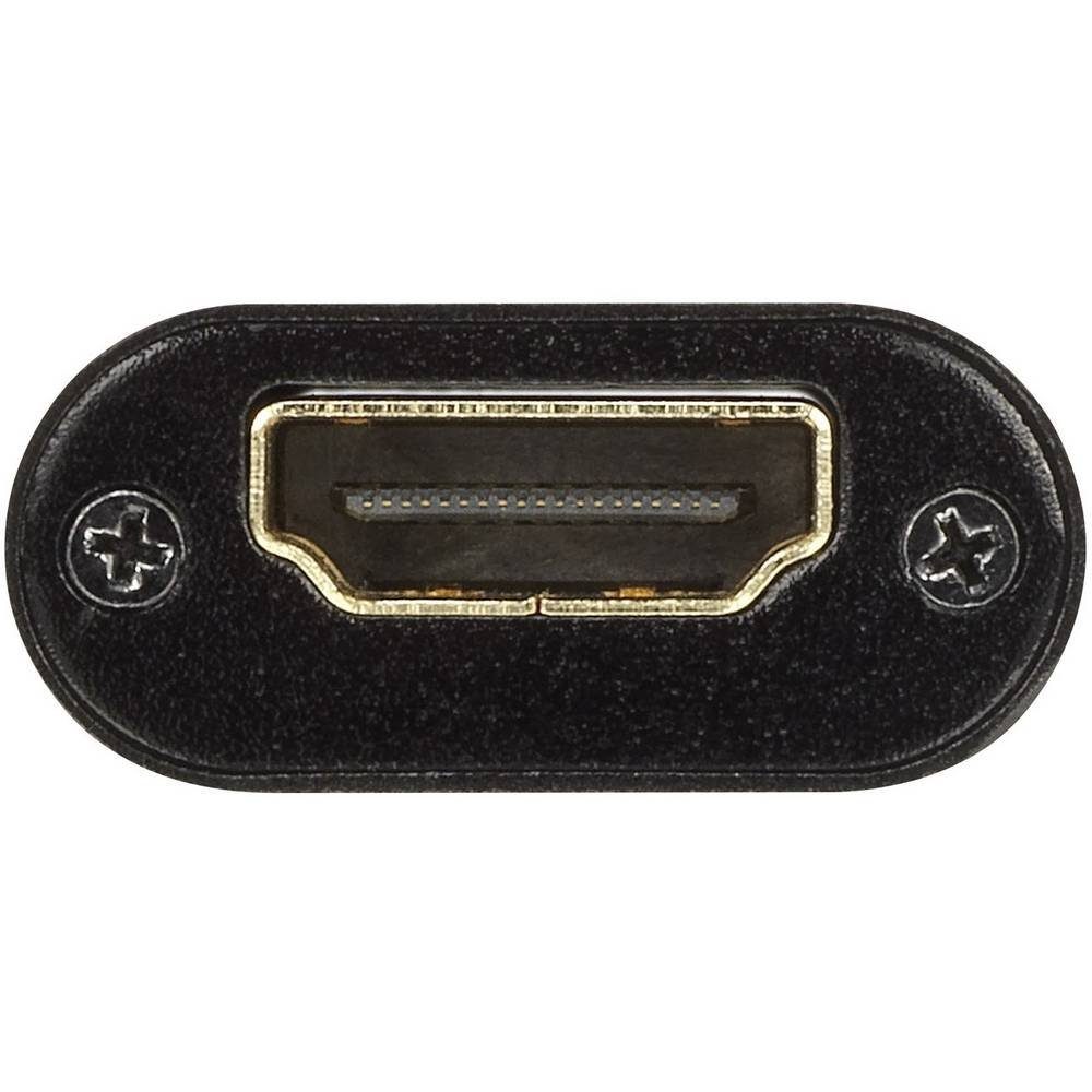 SpeaKa Professional HDMI-Repeater 3840x2160 Pixel ohne Smart-Home-Steuerelement