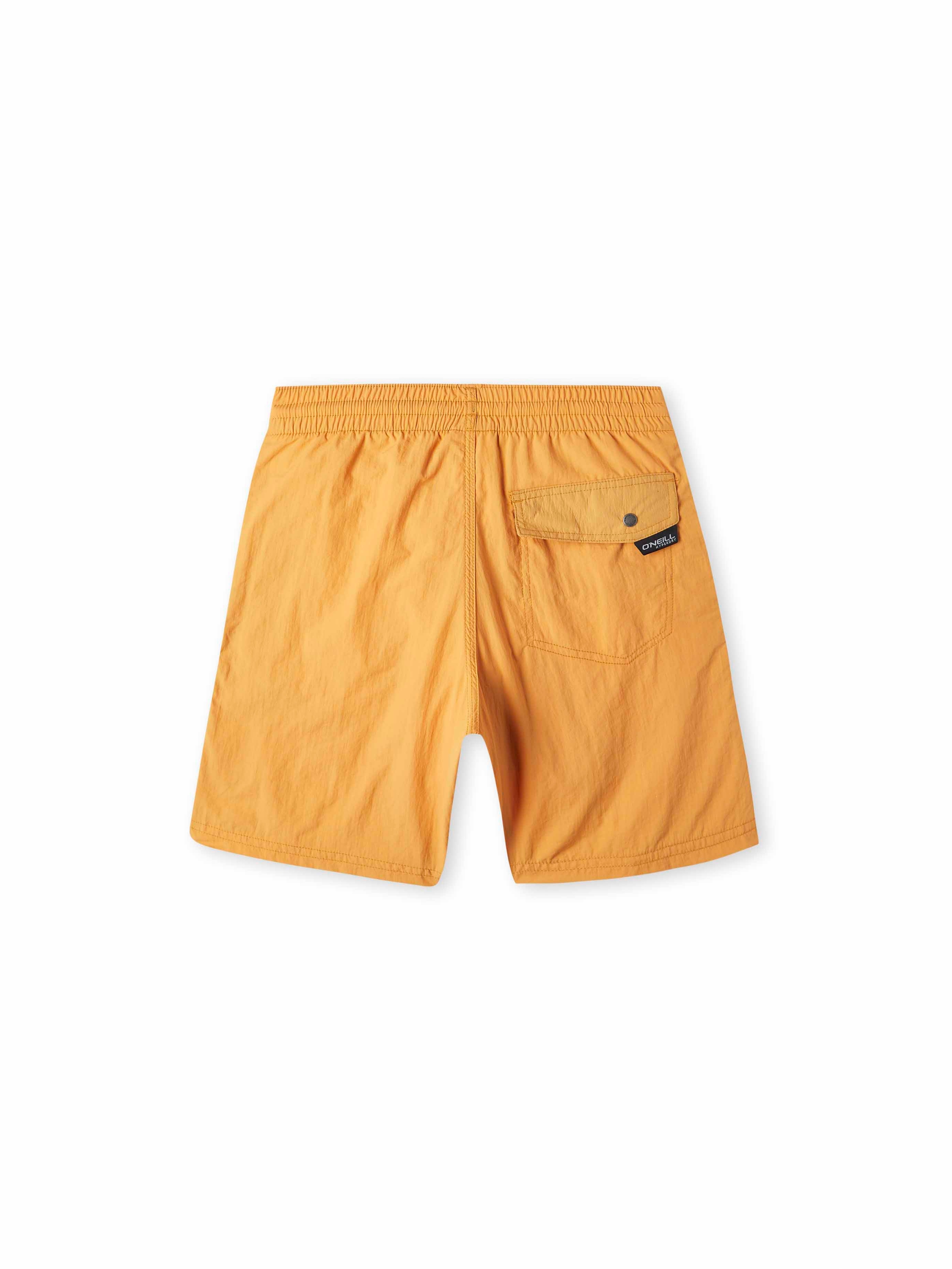 Board Shorts 'Vert'