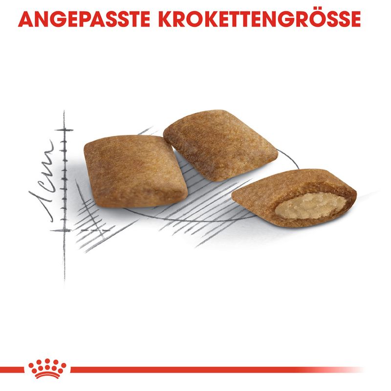 Royal Canin Ageing 12+ zu TOP-Preisen