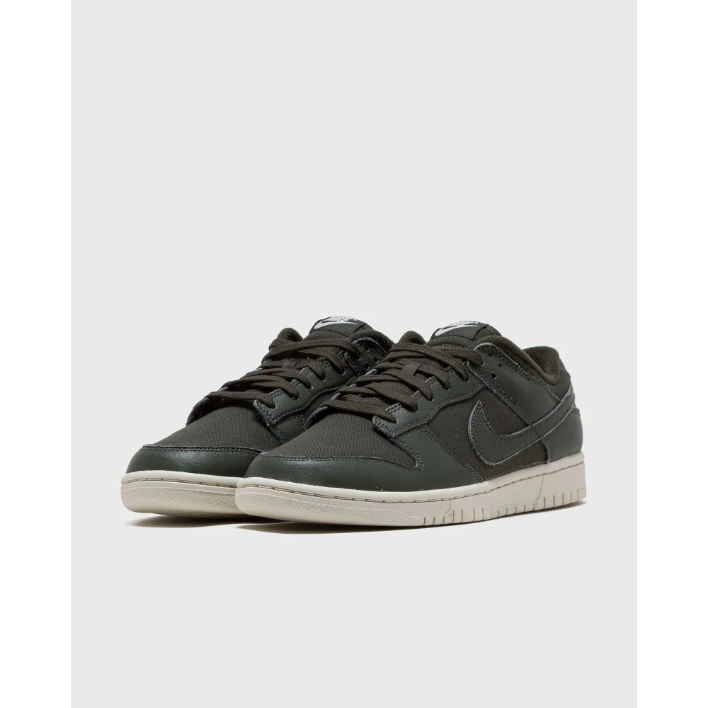 Nike Dunk Low Retro Premium DZ2538-300 / grün