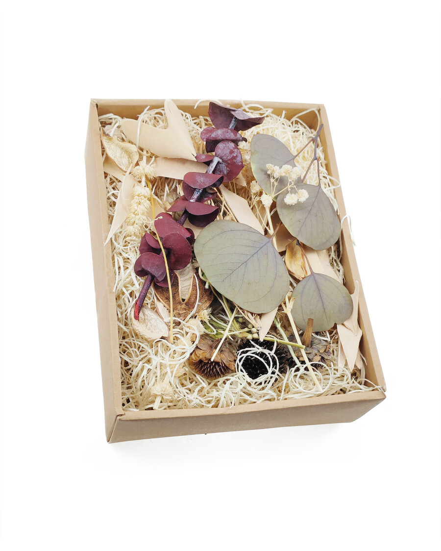 Potpourri