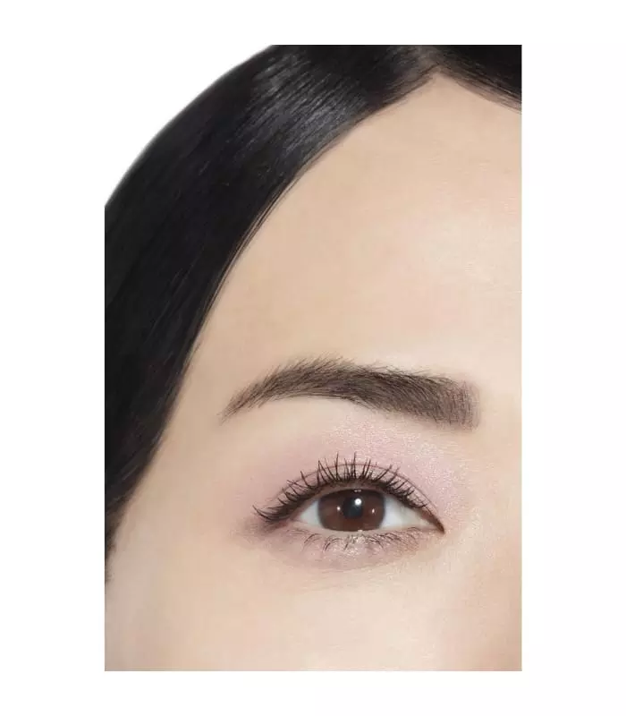 OMBRE PREMIÈRE Ombre à Paupières Poudre Longue Tenue