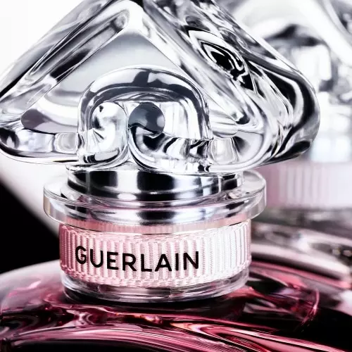 LA PETITE ROBE NOIRE Coffret Eau de Parfum Intense