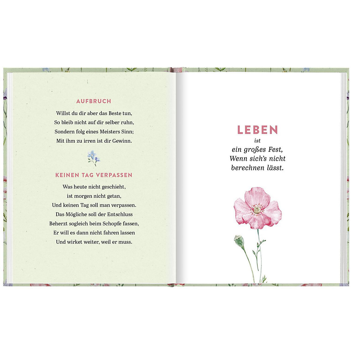 Die schönsten Worte zum Geburtstag von Johann Wolfgang von Goethe