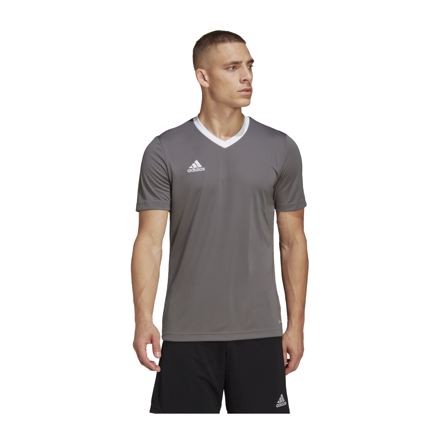 adidas Entrada 22 Trikot Grau Weiss