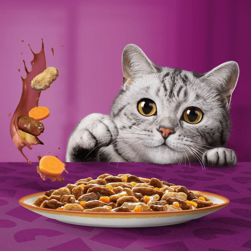 Multipack Whiskas Tasty Mix Portionsbeutel 48 x 85 g | bitiba.de