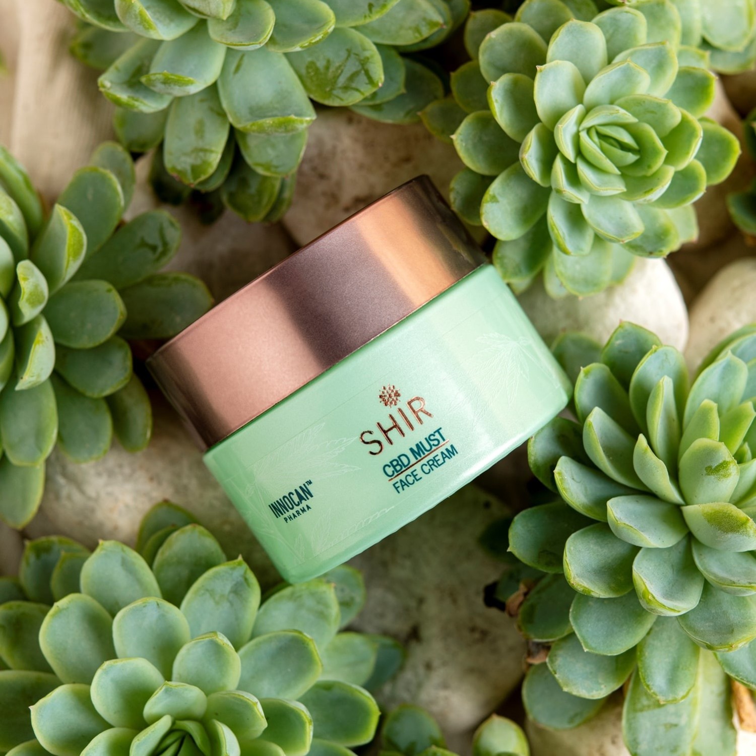 SHIR BEAUTY CBD koncentrirana krema za obraz