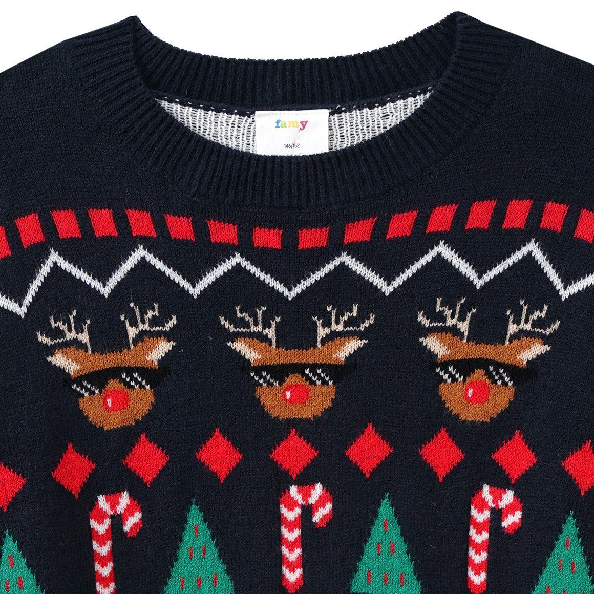 Jungen Weihnachtspullover mit Allover-Motiven dunkelblau / rot / grün
