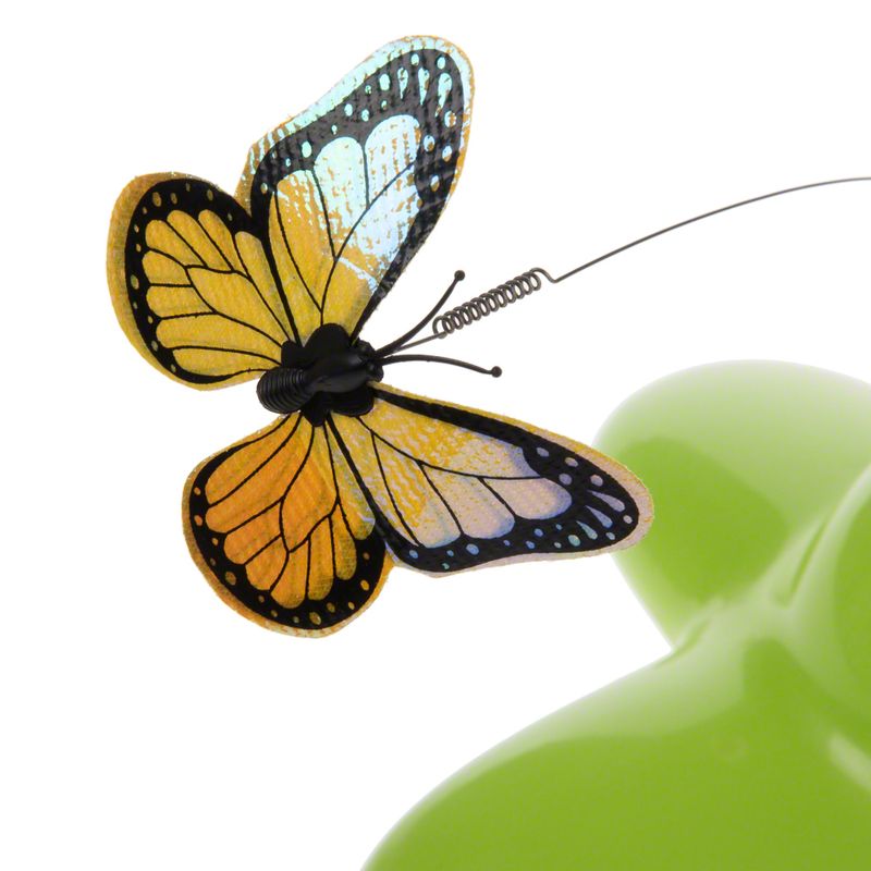 Katzenspielzeug Funny Butterfly zu TOP-Preisen