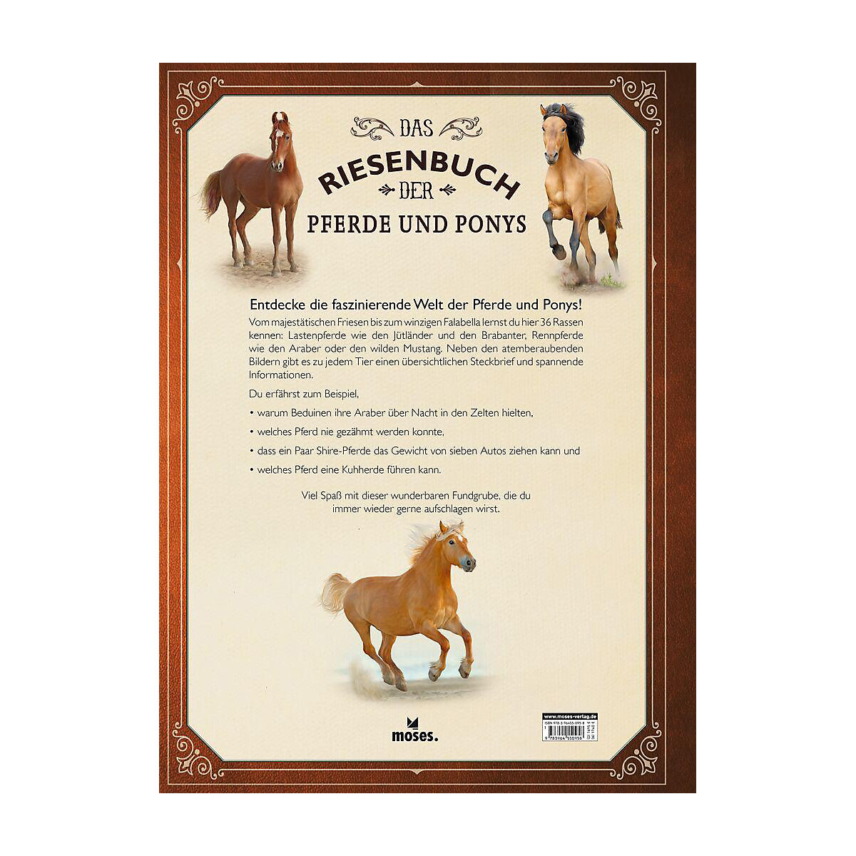 Das Riesenbuch der Pferde und Ponys