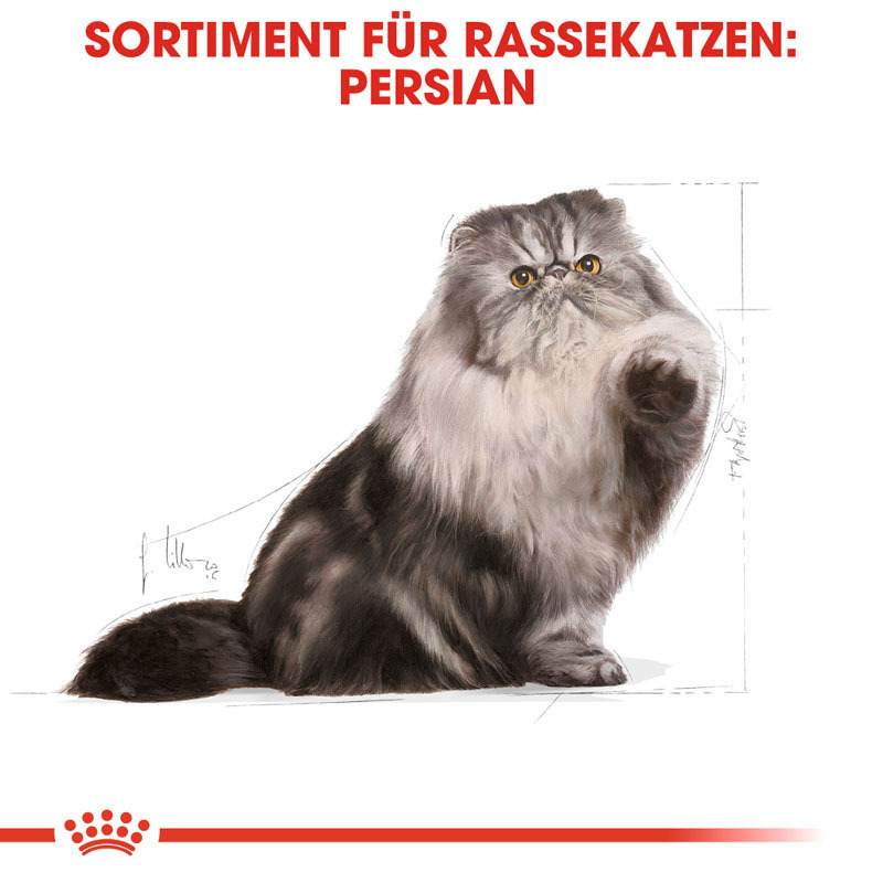 ROYAL CANIN Trockenfutter ROYAL CANIN Persian Adult 2x10 kg