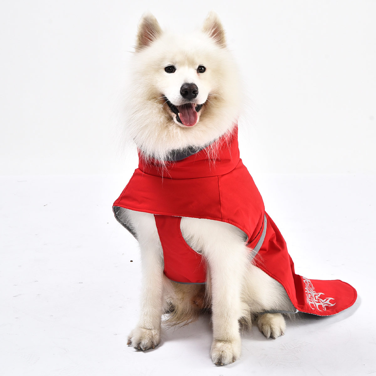 iEnergy JUD Hundewintermantel günstig kaufen bei ZooRoyal