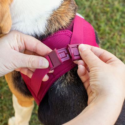 Curli Vest Geschirr Clasp Air-Mesh, fuchsia
