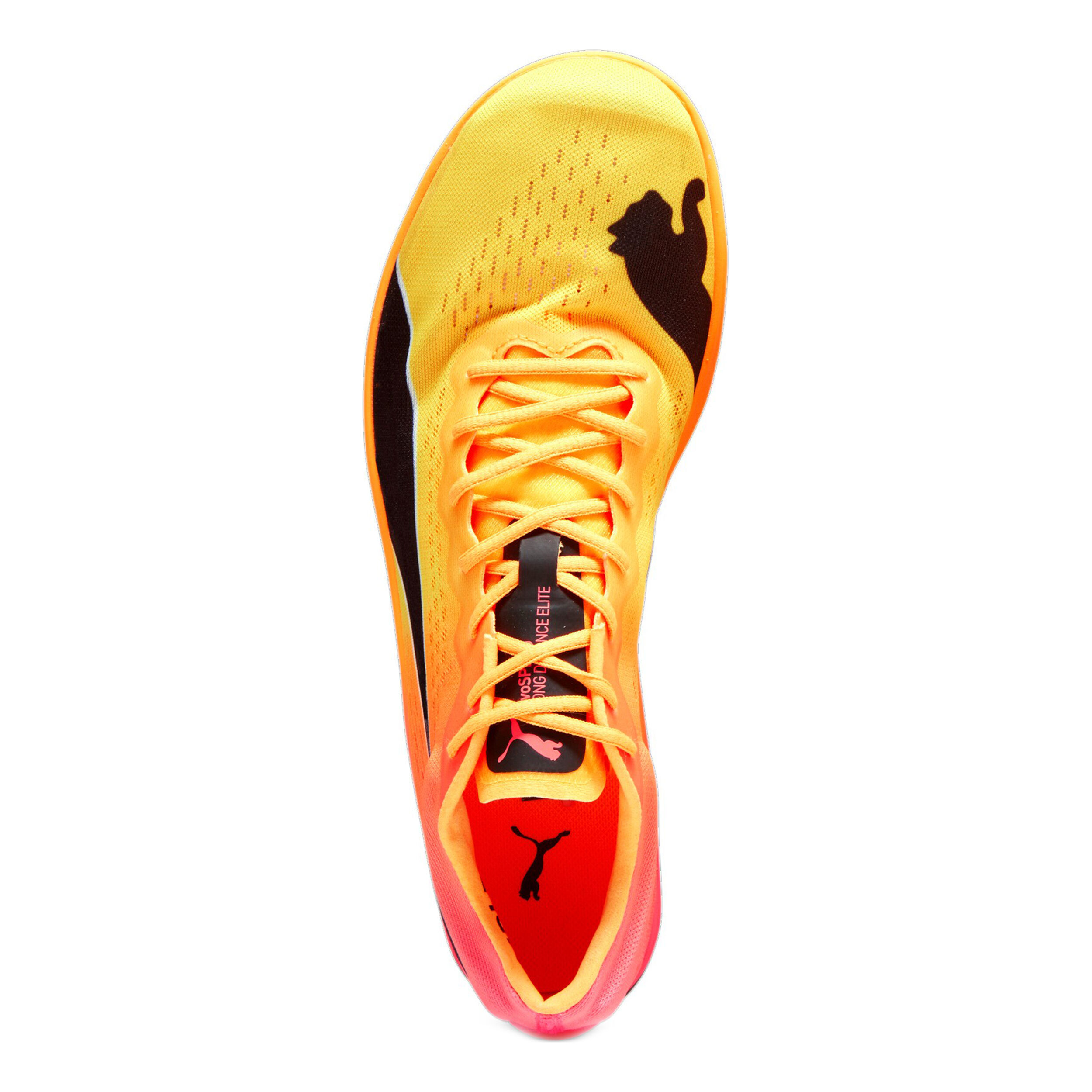 EvoSPEED Long Distance Nitro Elite+ Spikeschuh Herren - Orange, Pink