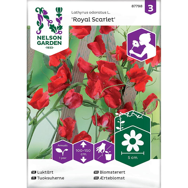 Nelson garden Frø Blomsterert Royal Scarlet, rød
