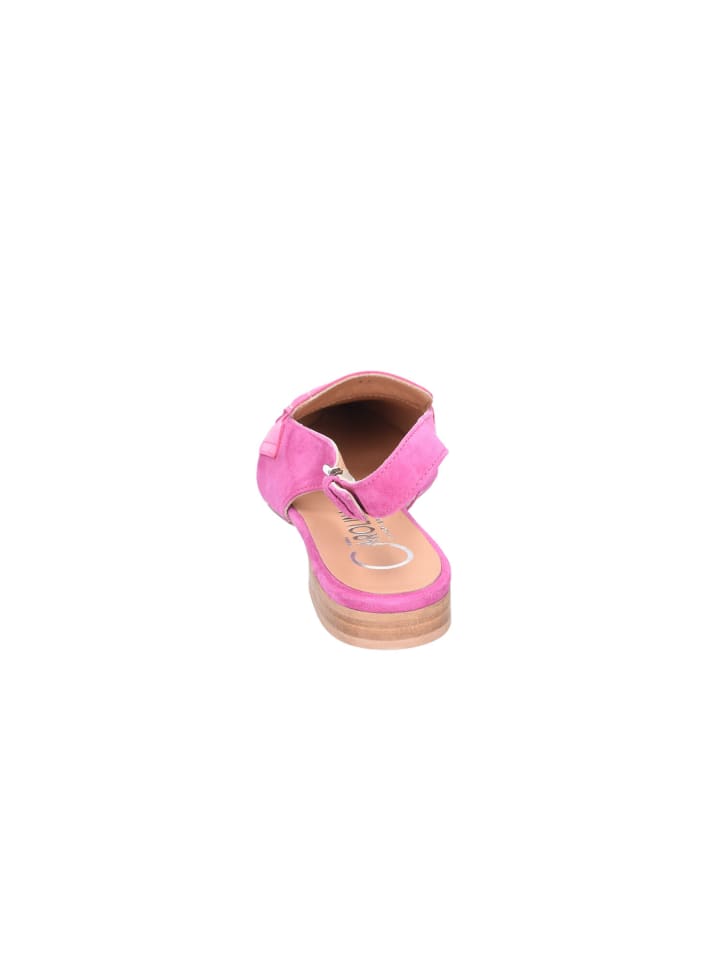Donna Carolina Sling in pink günstig kaufen
