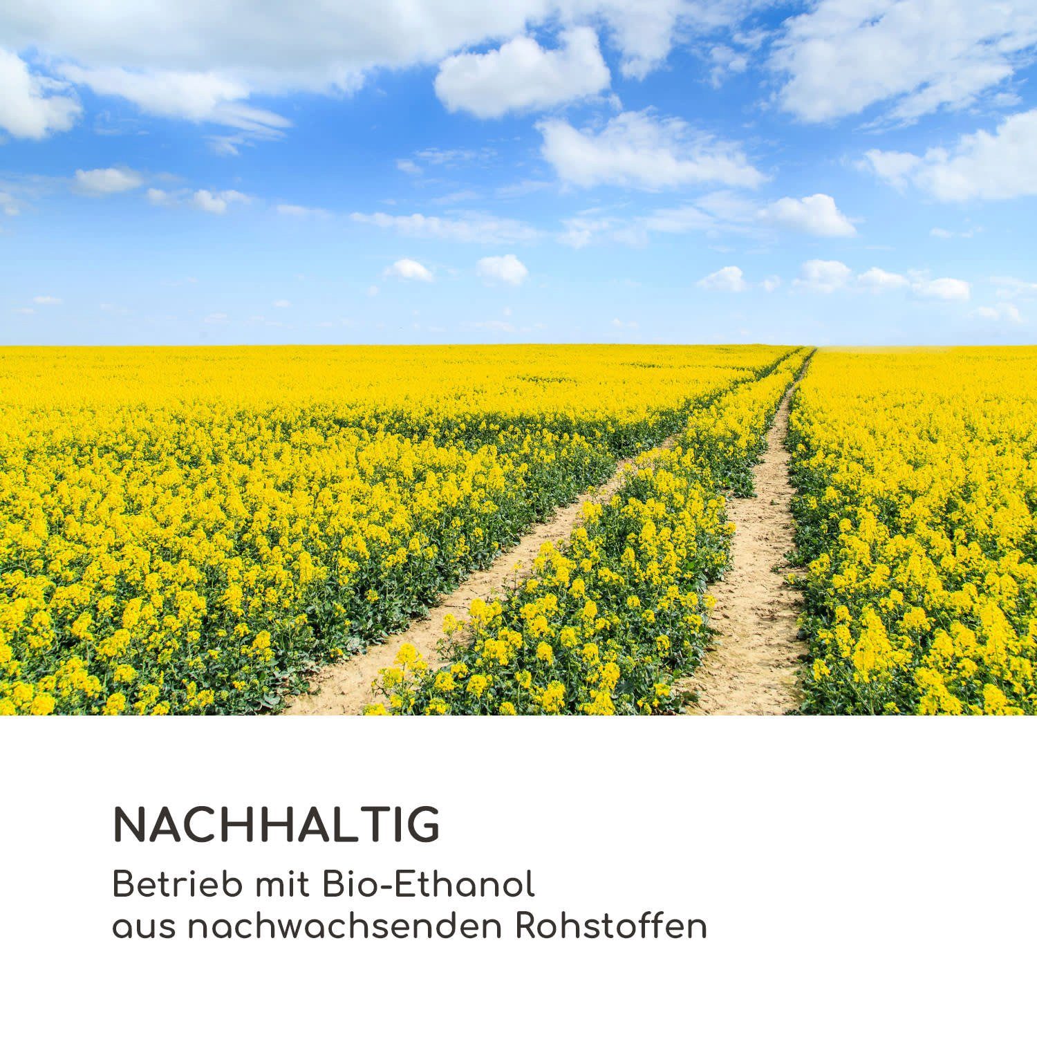 Blumfedt Echtfeuer-Dekokamin Fiamme Scoppi Ethanol-Kamin