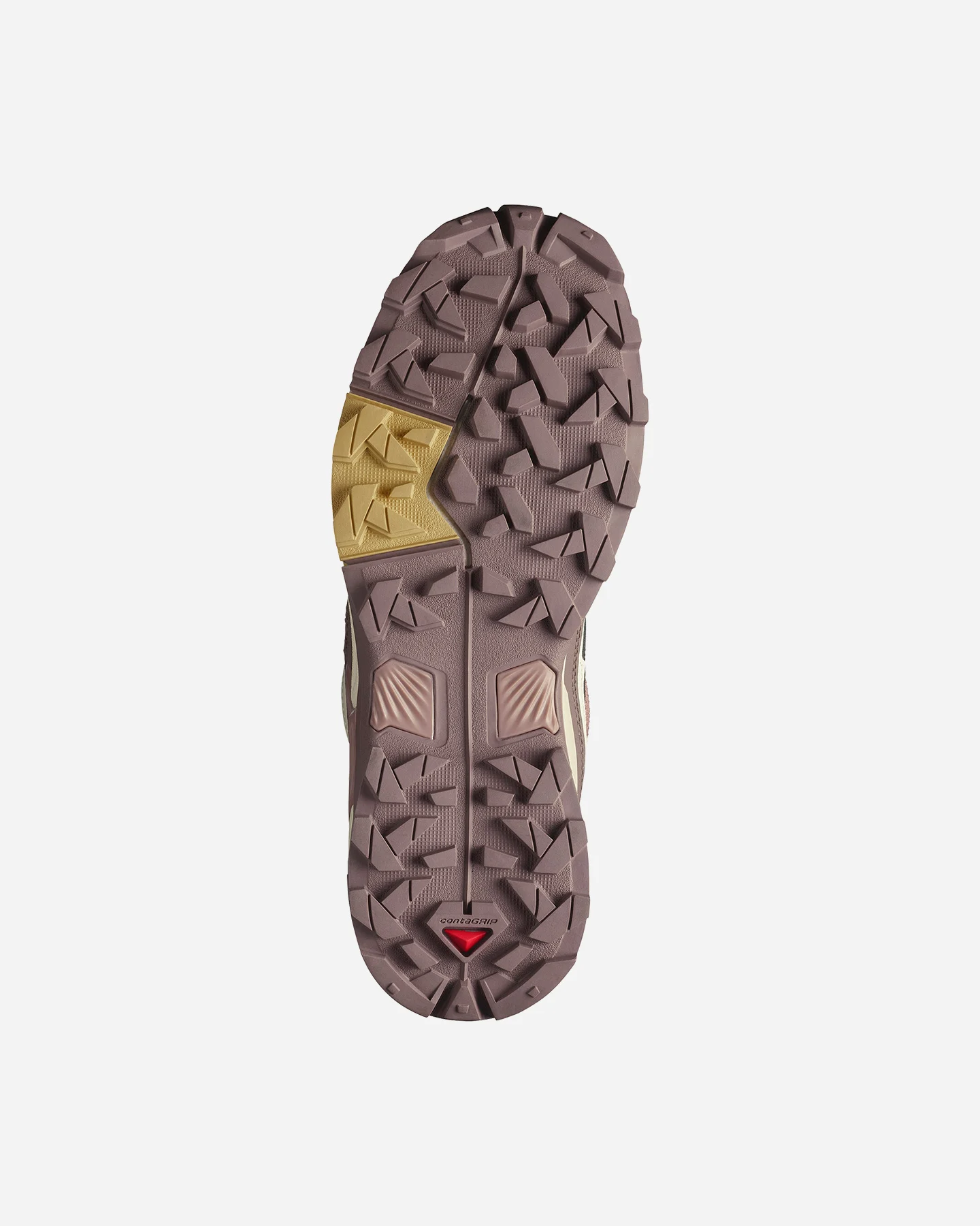 Scarpe Trail Salomon X Ultra 5 Gtx W L47726000