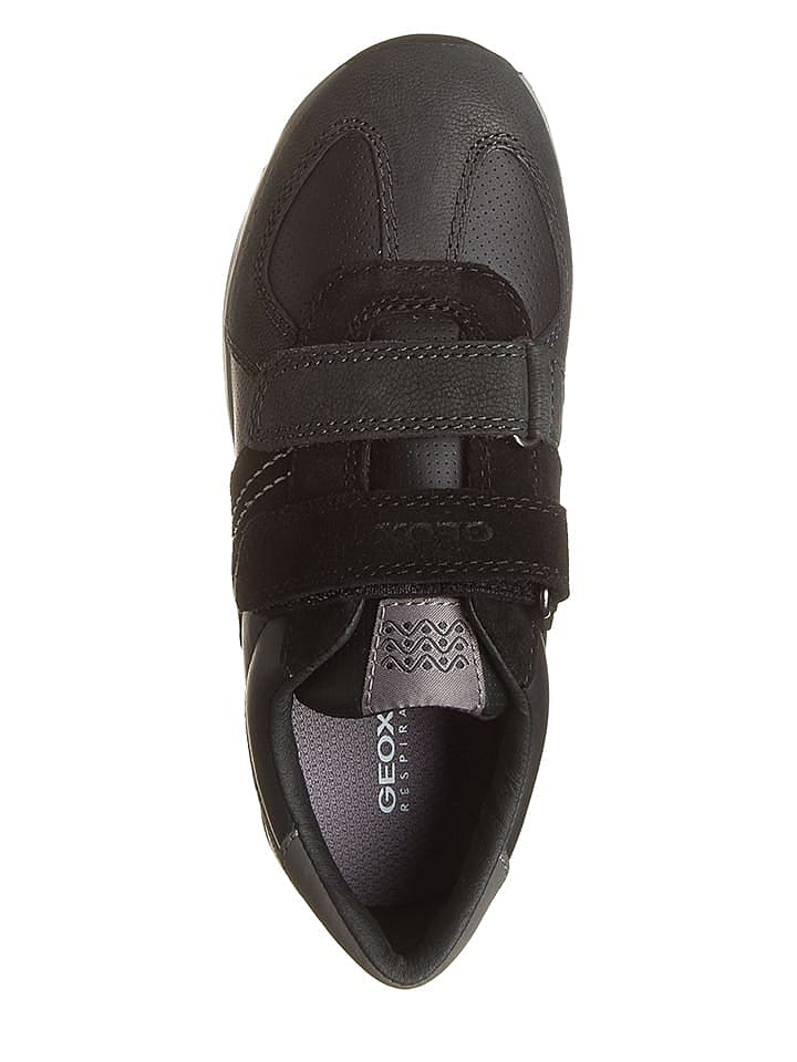Geox Sneakers 