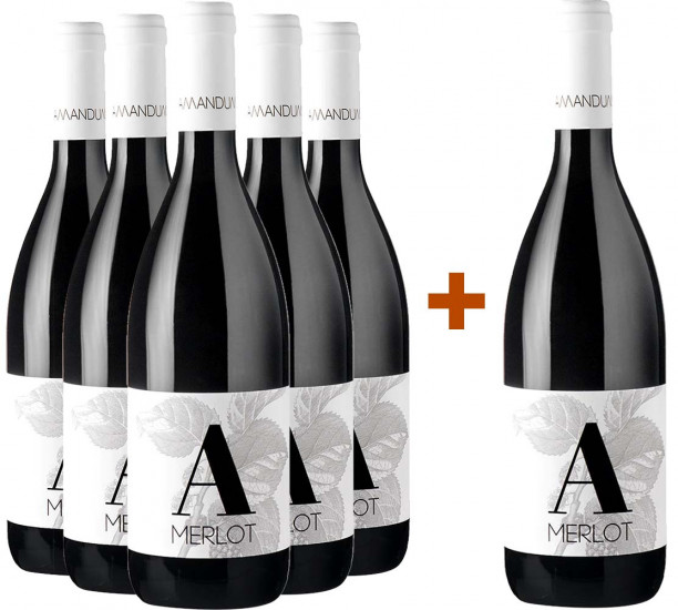 5+1 Paket Merlot Friuli Isonzo DOC - Amandum